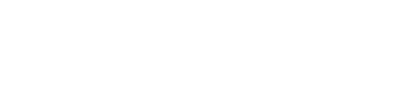 Rotweiss Detailing logosu